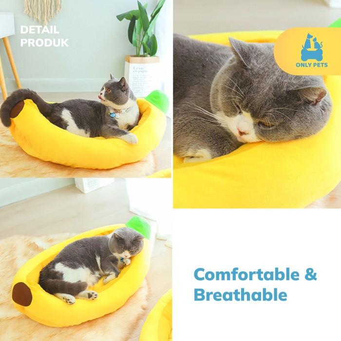 2aa8160ef294470f8d3e822aad07701f~tplv-o3syd03w52-resize-jpeg_700_0