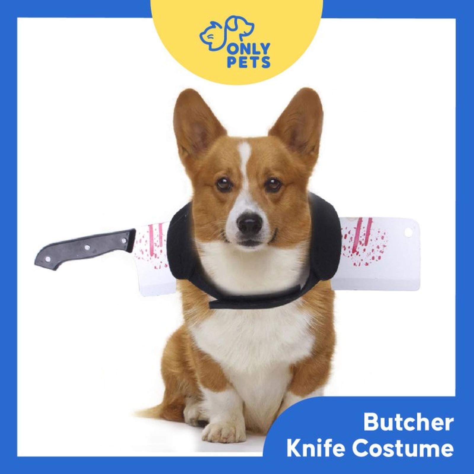 32a05d8aaa1a47b9a4524582fc4432bc~tplv-aphluv4xwc-white-pad-v1_1600_1600