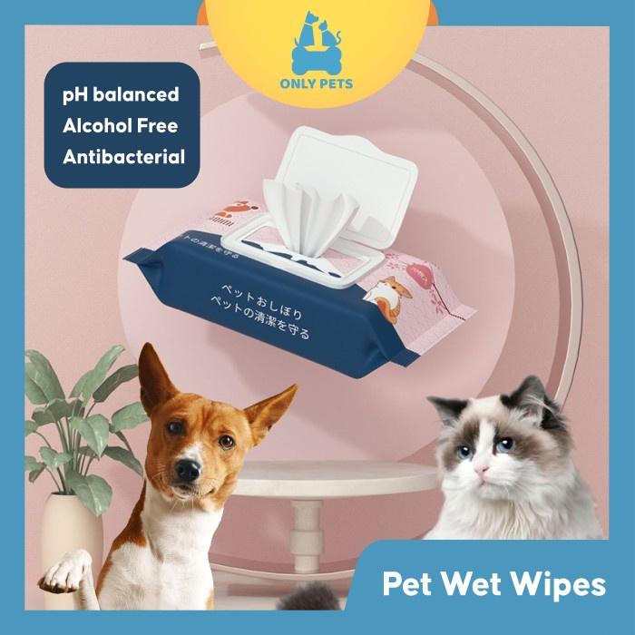 4d7b9d693f894cf28bd3228354e58b19~tplv-o3syd03w52-resize-jpeg_1600_1600