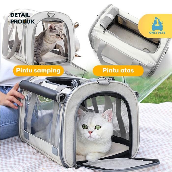 8101a63c-a765-4066-a9fb-2fdb63ab1a50.jpg~tplv-aphluv4xwc-resize-jpeg_700_0