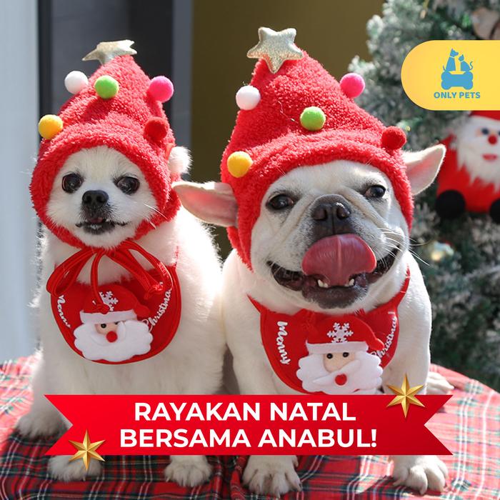 9edadf7e-579f-4e91-ae5a-55a2c914cf6b.jpg~tplv-aphluv4xwc-resize-jpeg_700_0