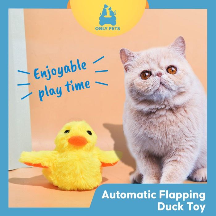 ec64e3d080434501bbfccf55f17a03a4~tplv-o3syd03w52-resize-jpeg_1600_1600