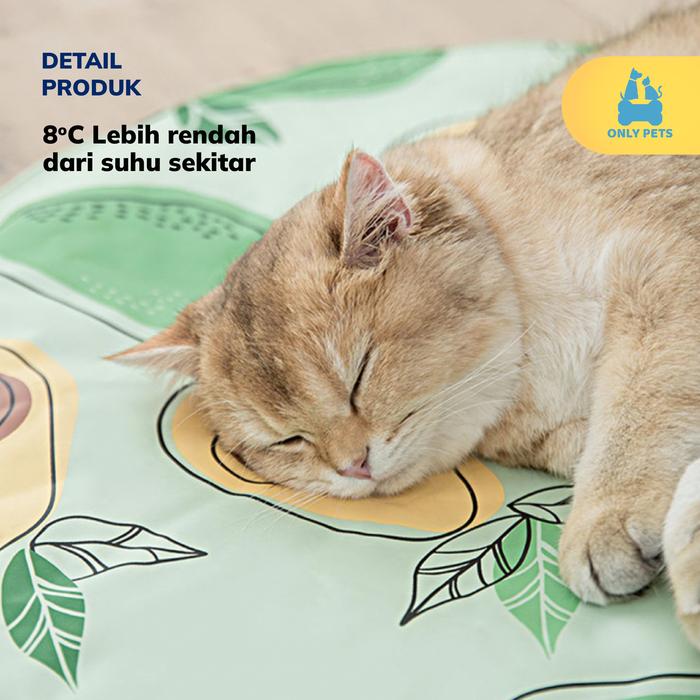 f42b3fb4f61a40d198da9d273e0e0a11~tplv-o3syd03w52-resize-jpeg_700_0 (1)