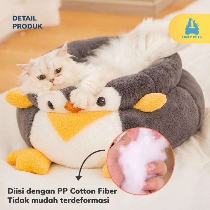 vlwax0ibf3htw9j5rui6