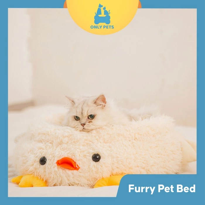 yqf3u38ilzzbbfe3z5xe