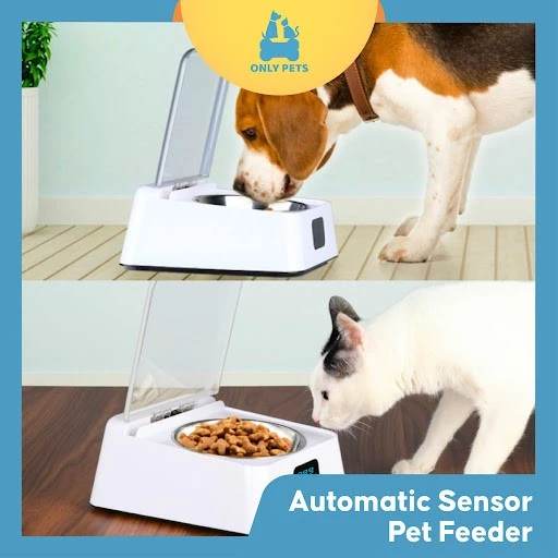 igrzizoucfqjkh023tkz