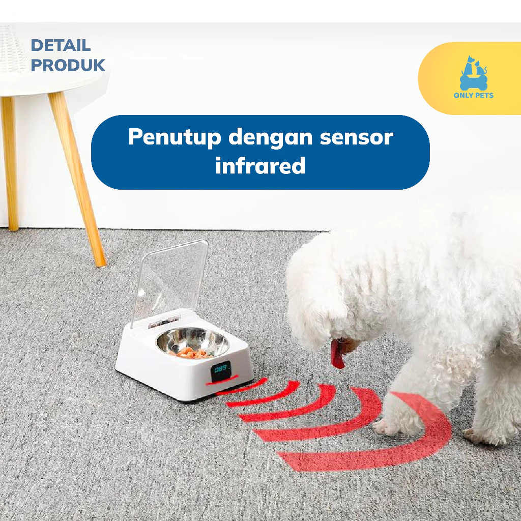 p8o0atc5kocjwuo4clp4